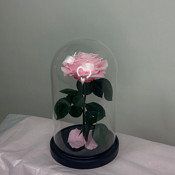 Роза в колбе L (розовая)