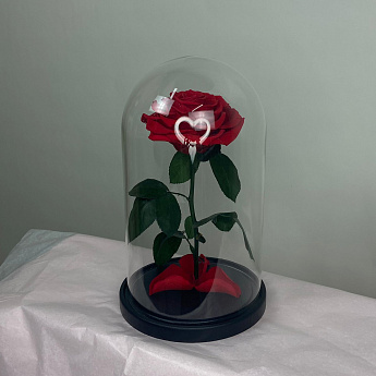 Роза в колбе L (красная)
